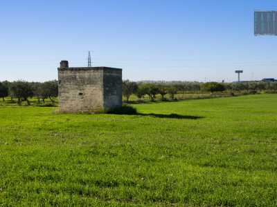 Anche strada rurale Rafaschieri comincia tra grandi prati verdi